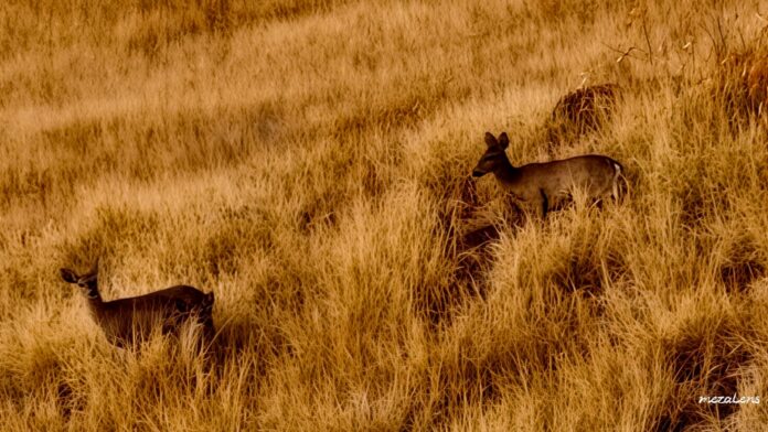 WhatsApp Image 2026-03-02 at 11.23.26 AM