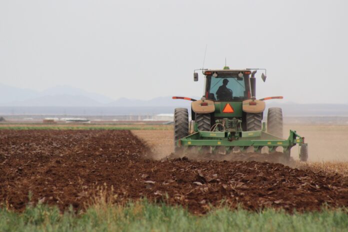 WhatsApp Image 2026-03-03 at 12.07.17 PM