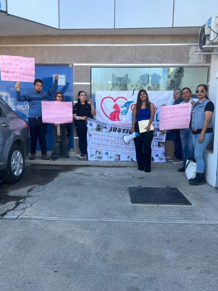 WhatsApp Image 2026-03-04 at 1.37.12 PM