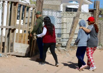 Noticias Chihuahua Pausa.MX Refuerzan fumigación en el kilómetro 29 ante riesgo de rickettsiosis