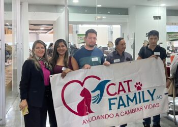 Proponen aumentar sanciones contra maltrato y omisión de cuidados a animales