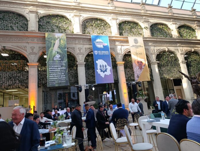 WhatsApp Image 2026-03-20 at 12.31.05 PM (2)