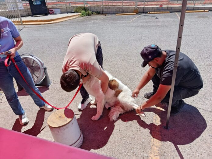 WhatsApp Image 2026-03-26 at 2.07.50 PM