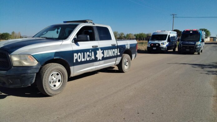 WhatsApp Image 2026-03-29 at 9.54.23 AM