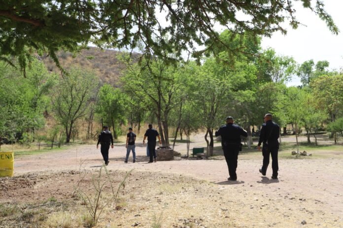 WhatsApp Image 2026-03-30 at 1.17.54 PM