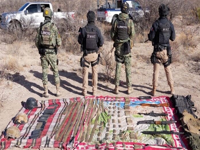 chihuahua-3.jpg_172596871 PAUSA.MX