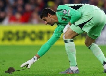 Explican importancia de fumigar los estadios para el mundial