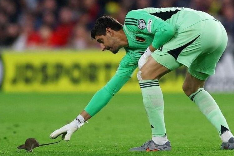 Explican importancia de fumigar los estadios para el mundial