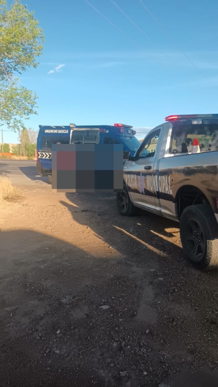 WhatsApp Image 2026-04-03 at 9.11.01 PM