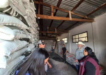 Inicia en Chihuahua el Programa Fertilizantes para el Bienestar 2026