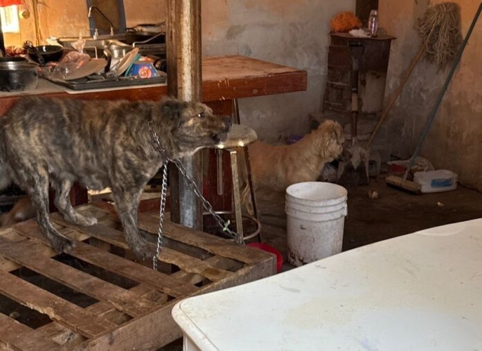 WhatsApp Image 2026-04-08 at 3.55.52 PM