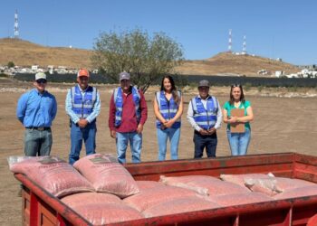 Abre SDR convocatoria para apoyo en semilla de frijol Abre SDR convocatoria para apoyo en semilla de frijol