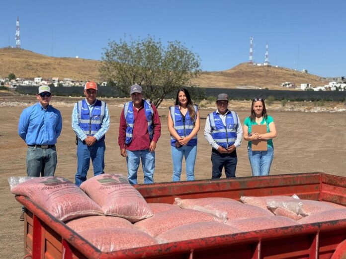 WhatsApp Image 2026-04-11 at 9.21.00 AM