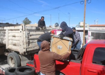 ¿Tuviste contacto con garrapatas? Aquí las recomendaciones