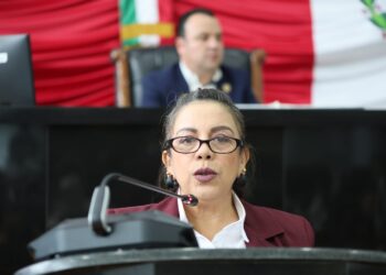 Urge endurecer reglas a videojuegos y evitar el acoso a menores de edad: diputada Magdalena Rentería