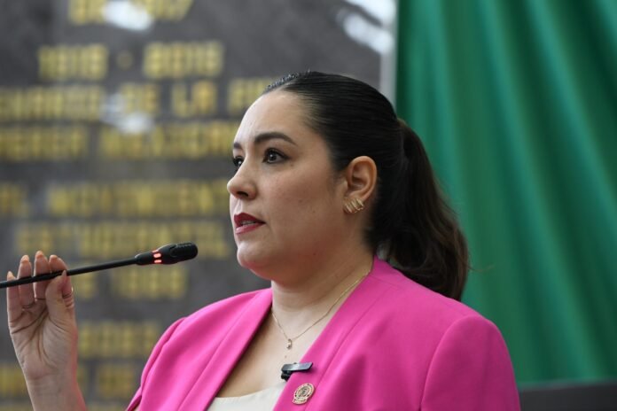 Catalogan y consideran diputados infracciones a la Ley de Vialidad y Tránsito