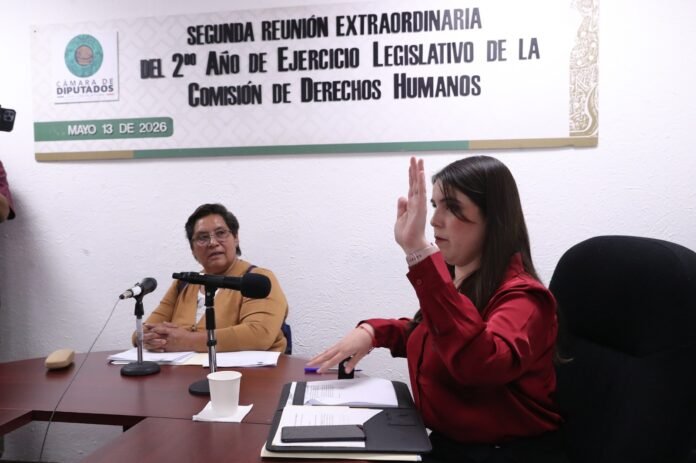 pausa-mx-aprueba-comision-de-derechos-humanos-dictamen-para-reconocer-la-neurodivergencia