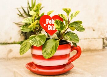 Aumentará 14 por ciento festejar a las mamás en su día
