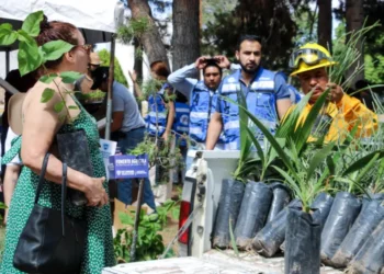 Más de 800 personas se dan cita en entrega de semillas, árboles y plántulas de la SDR Más de 800 personas se dan cita en entrega de semillas, árboles y plántulas de la SDR