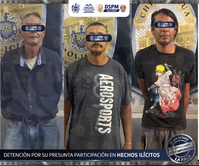 pausa-mx-borrador-automatico