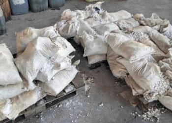 China endurece golpe contra el narco y frena envío de químicos hacia México y Estados Unidos China endurece golpe contra el narco y frena envío de químicos hacia México y Estados Unidos