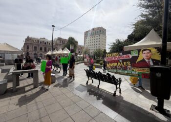 Exigen activistas no aprobar la regulación de venta de animales por internet