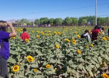 FCAyF-UACH acerca la investigación agrícola a niñas, niños y adolescentes de Delicias.