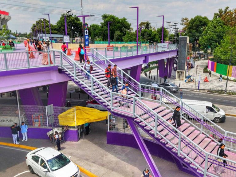 La psicología explica por qué el color morado en la CDMX está generando tanto rechazo entre ciudadanos