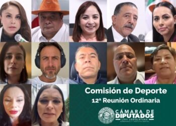 Aprueban en Comisión dictámenes sobre apoyos económicos a medallistas olímpicos y paralímpicos, y reconocer el deporte en entornos digitales Aprueban en Comisión dictámenes sobre apoyos económicos a medallistas olímpicos y paralímpicos, y reconocer el deporte en entornos digitales