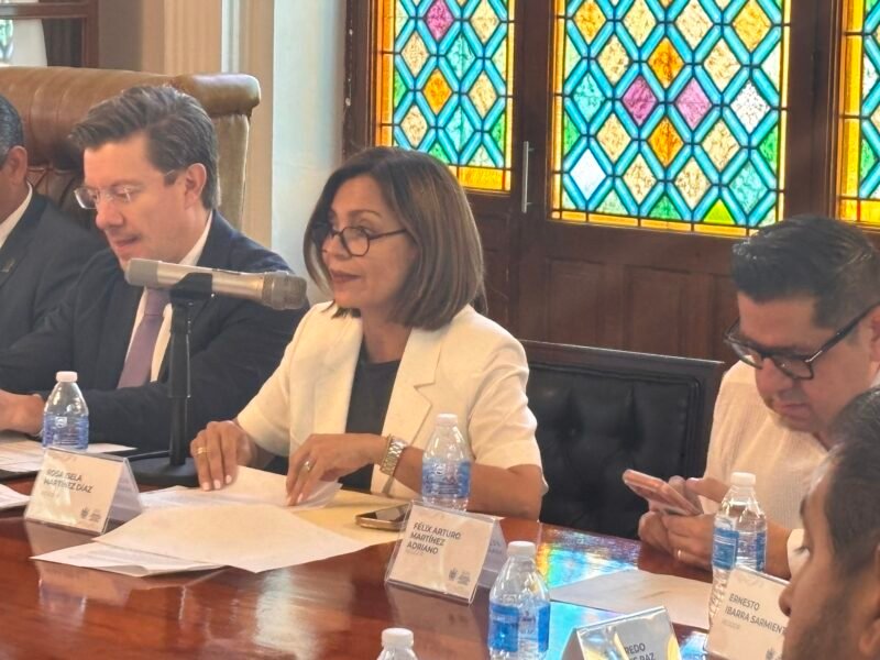 Exige Isela Martínez a la CFE atender apagones