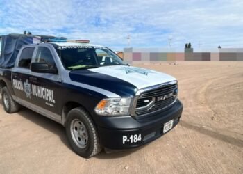 Persona detenida por posibles actos de exhibicionismo