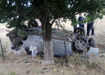 Resulta joven lesionado tras volcadura en la carretera Cuauhtémoc–Anáhuac Resulta joven lesionado tras volcadura en la carretera Cuauhtémoc–Anáhuac