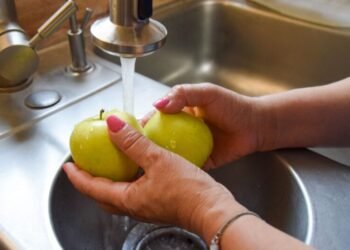Emite Coespris recomendaciones para el manejo adecuado de alimentos durante la temporada de calor Emite Coespris recomendaciones para el manejo adecuado de alimentos durante la temporada de calor
