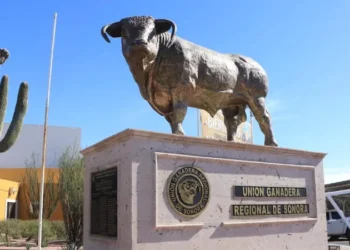 Tras meses de pérdidas, Unión Ganadera cambia el reclamo por los aplausos a Sheinbaum Tras meses de pérdidas, Unión Ganadera cambia el reclamo por los aplausos a Sheinbaum