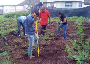 Busca UACH reducir emisiones de metano y fortalecer ganadería sostenible Busca UACH reducir emisiones de metano y fortalecer ganadería sostenible