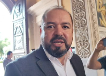 Diez municipios reportan gusano descortezador Diez municipios reportan gusano descortezador
