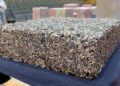 Impulsa SCIT uso de sargazo en material para construcción Impulsa SCIT uso de sargazo en material para construcción