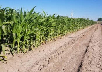 Invita SDR a participar en las convocatorias del programa “Cuenta Conmigo en el Campo” Invita SDR a participar en las convocatorias del programa “Cuenta Conmigo en el Campo”