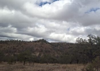 Persistirán calor, lluvias y fuertes vientos este viernes en Chihuahua Persistirán calor, lluvias y fuertes vientos este viernes en Chihuahua