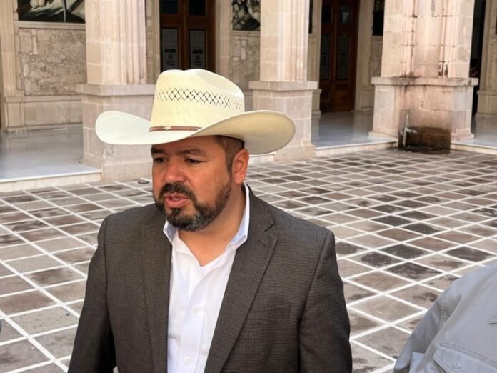Aranceles de China a nuez no impactarán directamente a Chihuahua: SDR