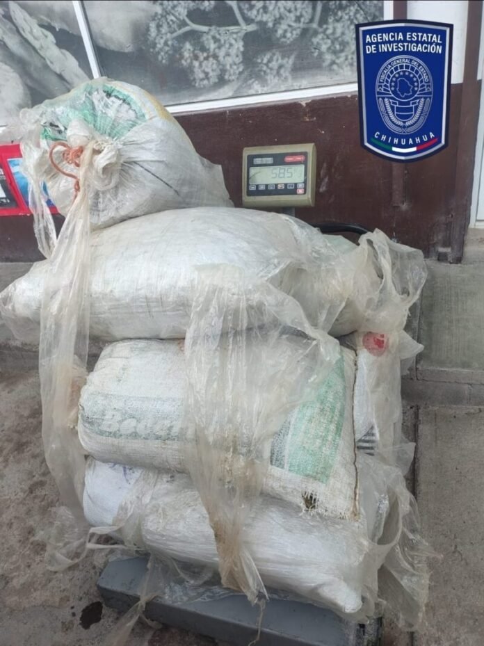 Aseguran más de 160 kilos de marihuana en brecha de Chínipas