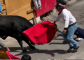 Exige PETA poner fin a la Huamantlada tras dos muertes Exige PETA poner fin a la Huamantlada tras dos muertes