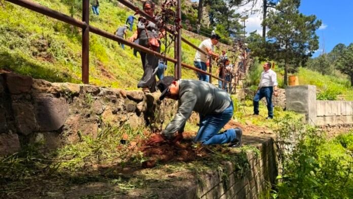 Reforestan la Cascada El Salto en Guachochi