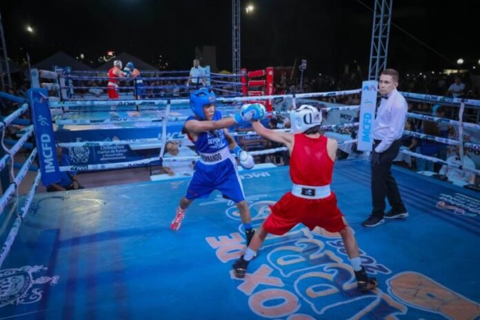 Asistieron más de 6 mil al Torneo Box de Barrios