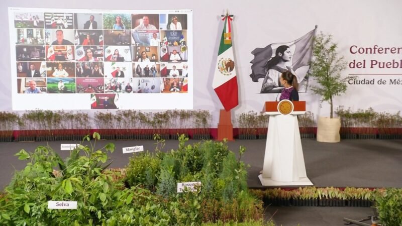 Chihuahua se suma a Jornada Nacional de Reforestación 2026 en Bocoyna
