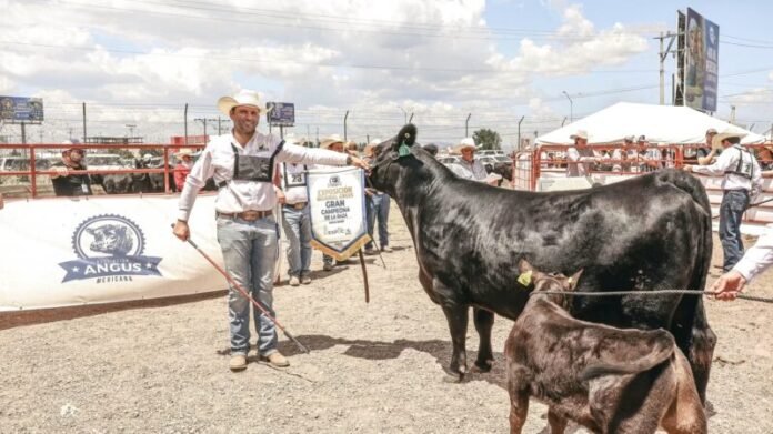 Expo Cusi 2026 celebra las tradiciones del campo chihuahuense