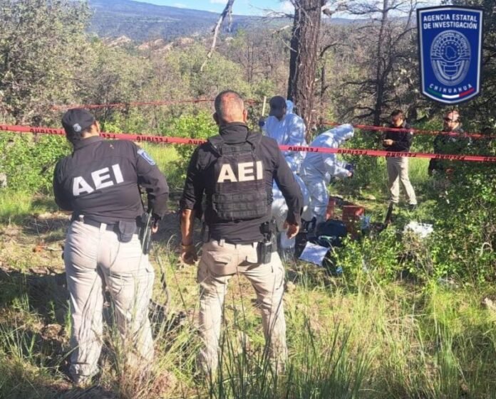 Hallan osamentas y restos óseos en Casas Grandes