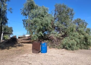 Lluvias dejan árboles caídos e inundaciones en tres municipios Lluvias dejan árboles caídos e inundaciones en tres municipios