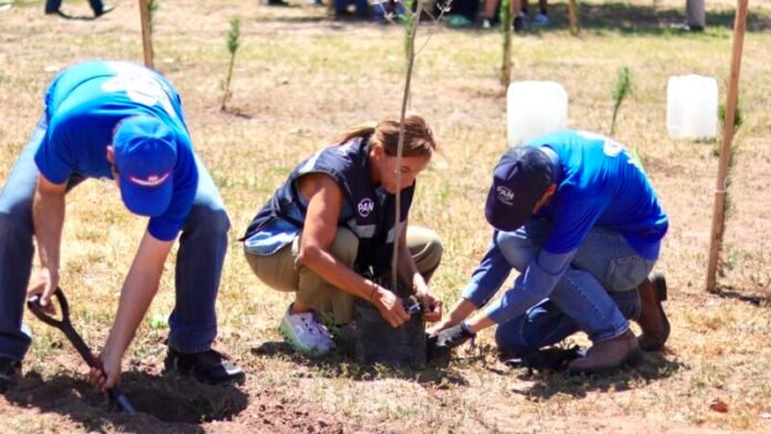 Manque Granados se suma a jornada de reforestación en Chihuahua