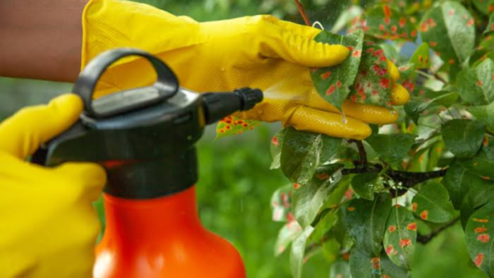 México registra primer biofungicida de RNA a nivel mundial